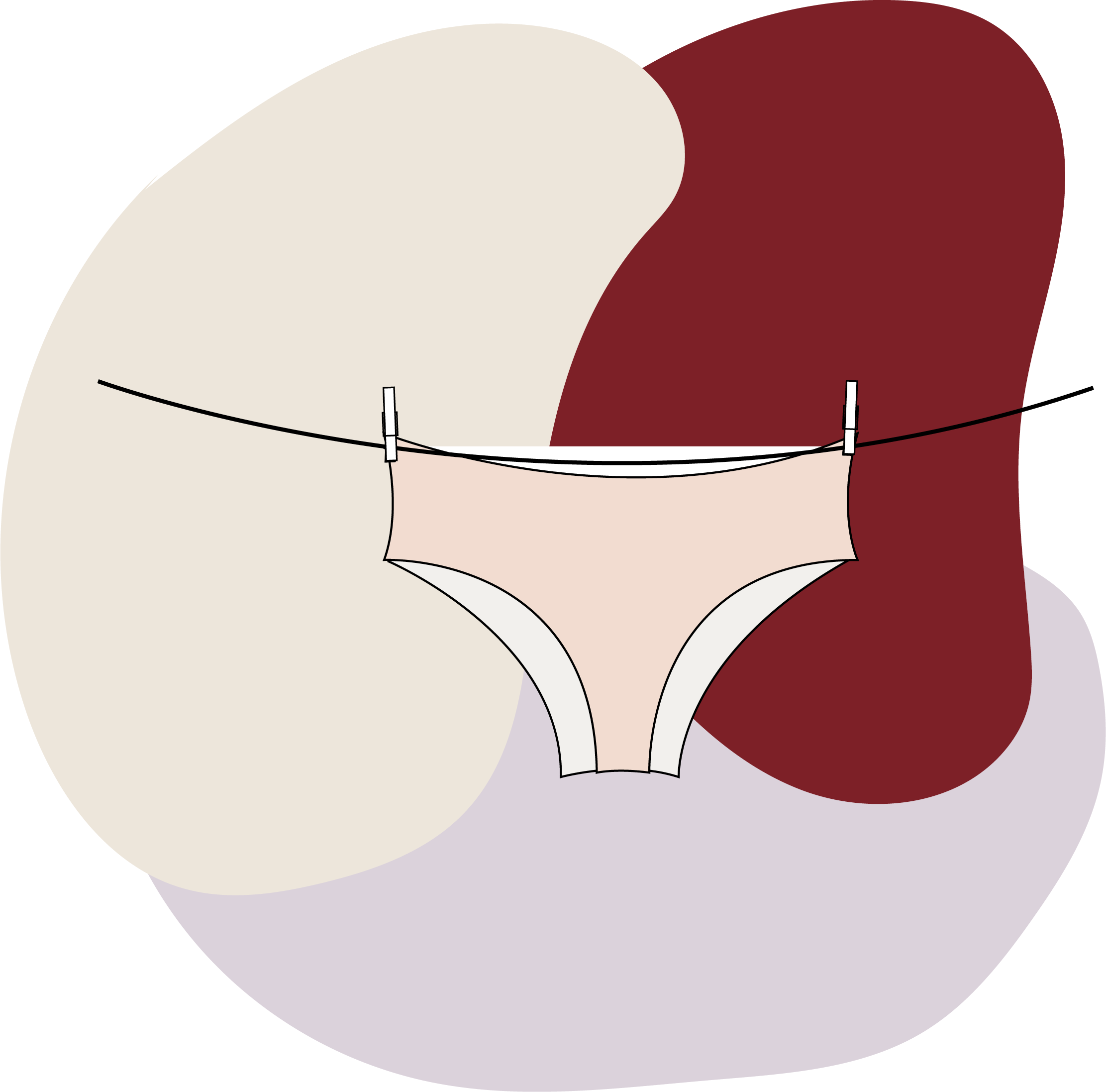 Entretien et lavage des culottes menstruelles - Le Comptoir Des Lunes